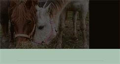 Desktop Screenshot of hopeforhorses.org